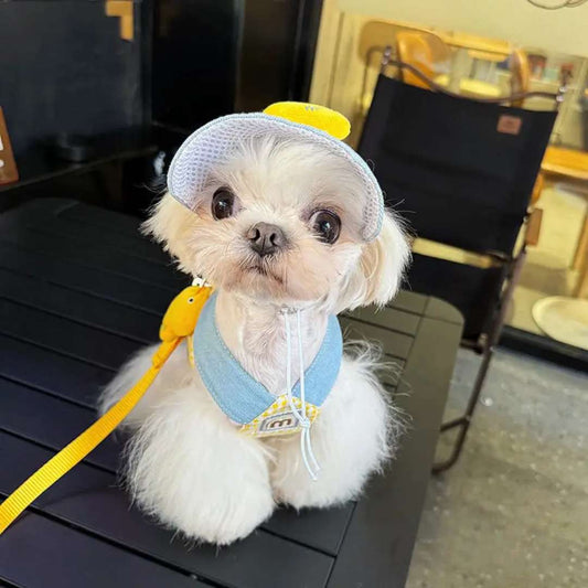 Conjunto Boné e Peitoral Patinho de Luxo para Cães e Gatos